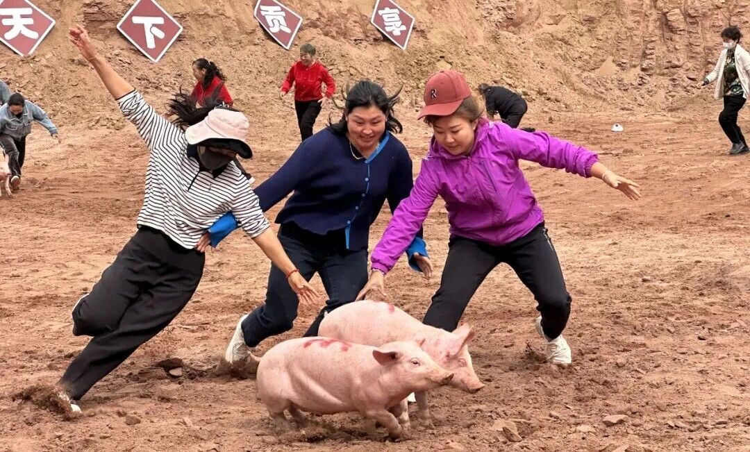 图片3.jpg